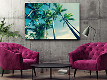Obraz na stenu Vysoké palmy, palm trees 